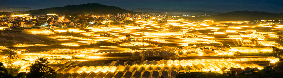 Da Lat overview